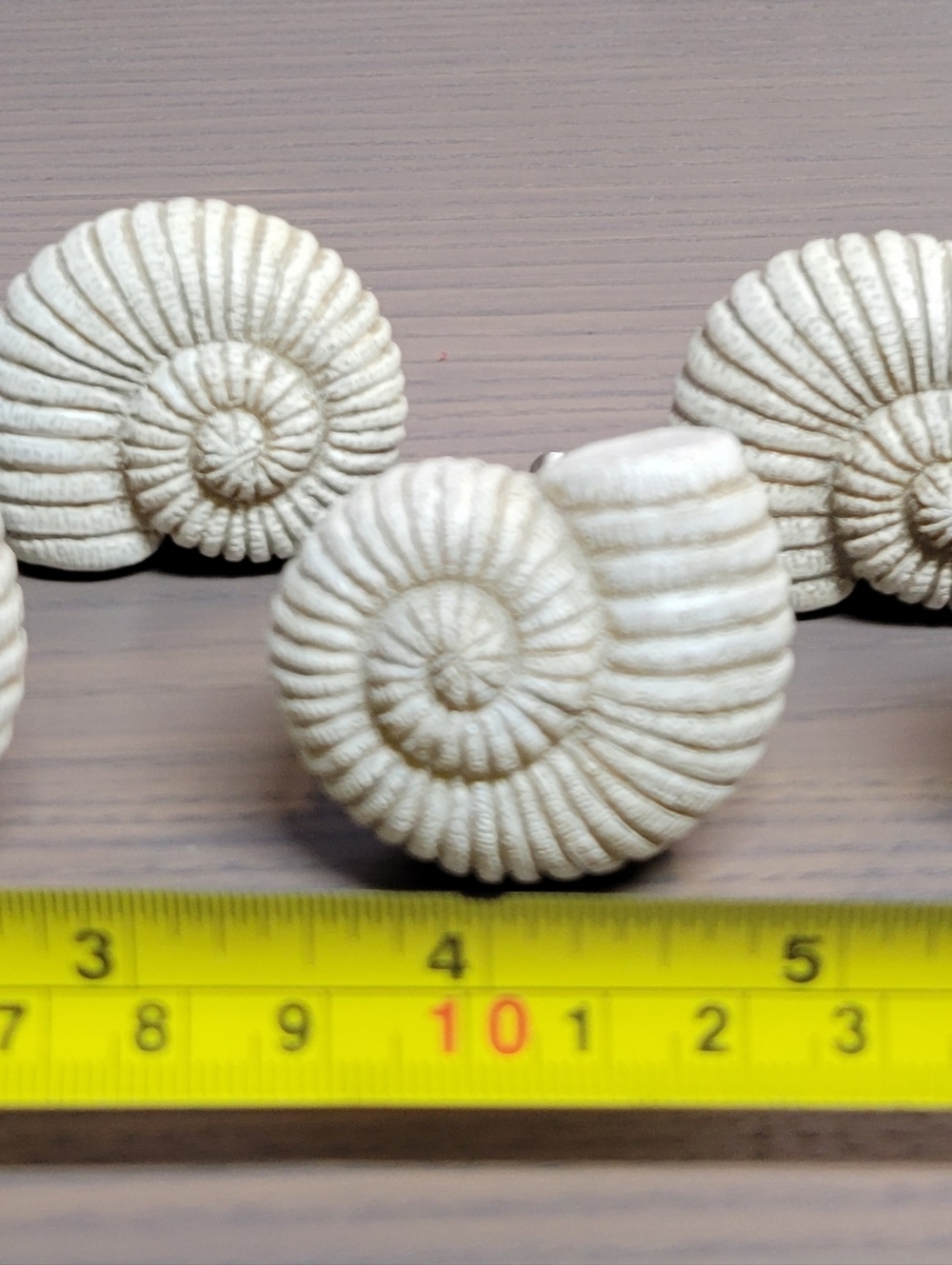 White Spiral Shell Ceramic Knob - Set of Decorative Shells